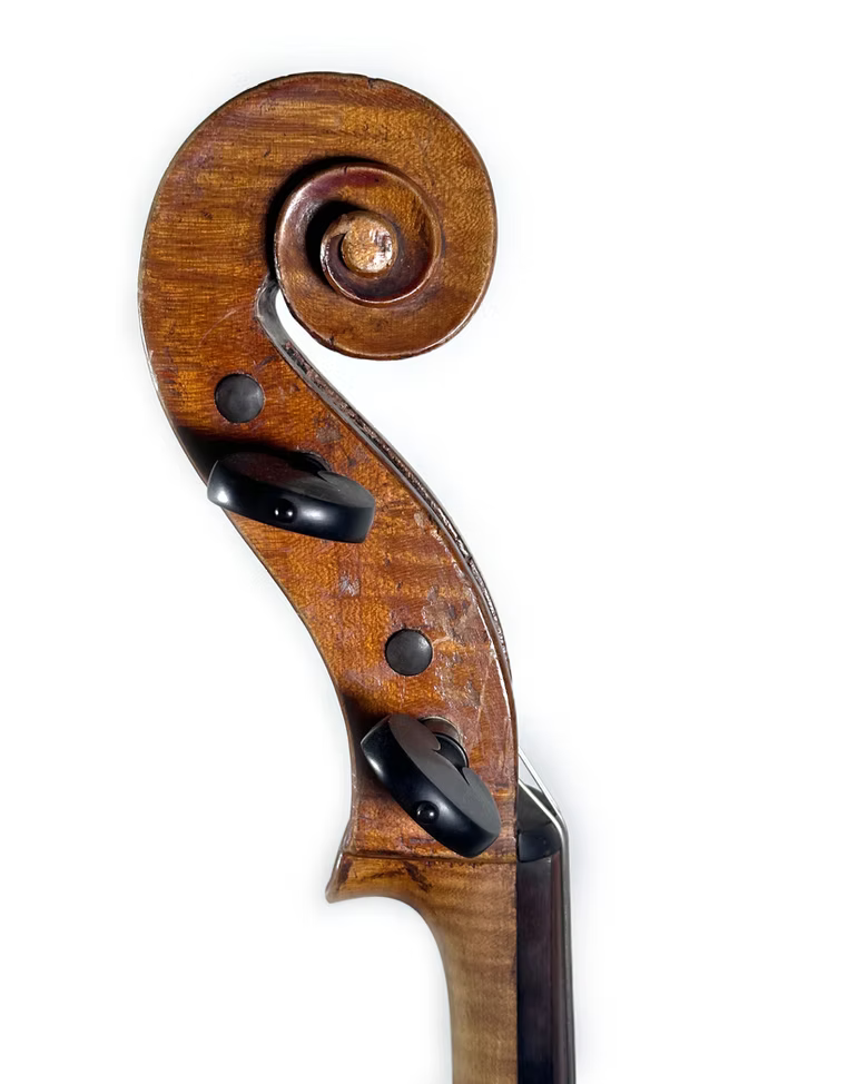 Violoncelo do autor Jan Basta